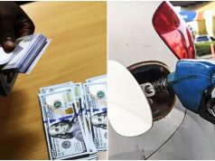 NARTO Credits Fuel Subsidy Removal, Local Refining For Sustained Naira Stability fuel-naira-dollar