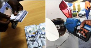 NARTO Credits Fuel Subsidy Removal, Local Refining For Sustained Naira Stability fuel-naira-dollar
