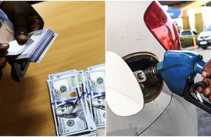 NARTO Credits Fuel Subsidy Removal, Local Refining For Sustained Naira Stability fuel-naira-dollar