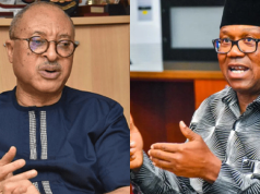 Peter Obi’s 2027 Economic Plan targets N500/$1 and make bread sell for N800—Prof. Pat Utomi IMG